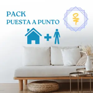 pack puesta a punto