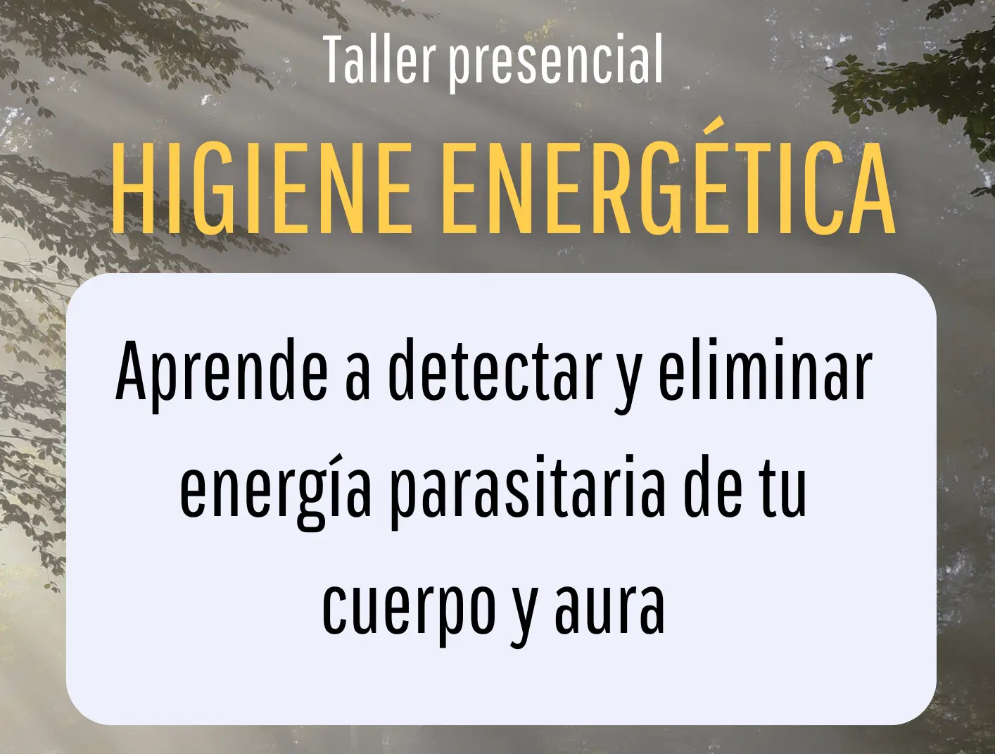 Taller Higiene Energética